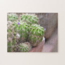 Recherche de fleurs puzzles Nature