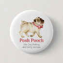 Recherche de assis badges Carlin