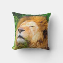 Recherche de grands chats coussins Lion