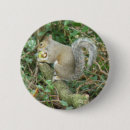 Recherche de gland badges Écureuils