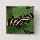 Recherche de ailes papillon badges Insecte