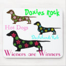 Recherche de teckels tapis souris Chiens