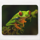 Recherche de froggy tapis souris Animal