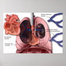 Recherche de pulmonaire posters Santé