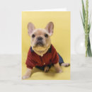 Recherche de chien habillé vœux cartes Mignon