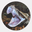 Recherche de reptiles autocollants Zoo