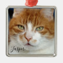 Recherche de pet photo ornements Cat