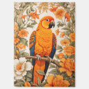 Recherche de conures Pour elle