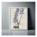 Recherche de gracieux posters Floral