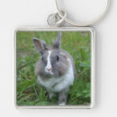 Recherche de lièvres porteclés Animaux