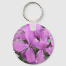 Recherche de beau pourpre accessoires Photographie