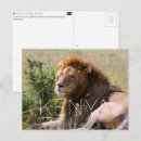 Recherche de masai mara cartes postales Faune