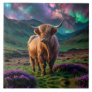 Recherche de bétail carreaux Écossaise