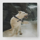 Recherche de loup blanc horloges Nature