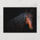 Recherche de vii Animal