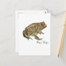 Recherche de amphibiens cartes postales Insecte