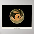 Recherche de planète rouge posters Mars