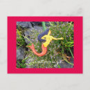 Recherche de queue de sirène cartes postales Océan