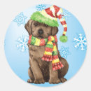 Recherche de chocolate lab autocollants Noël