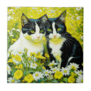 Recherche de chat adorable carreaux Chats