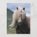 Recherche de poneys cartes postales Nature