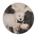 Recherche de animaux domestiques planches à découper Chiot