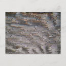 Recherche de oignon cartes postales Nourriture