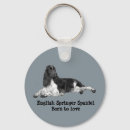 Recherche de springer spaniel porteclés Dog