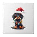 Recherche de chien de père noël carreaux Loup