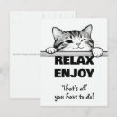 Recherche de carte chats cartes postales Pour animaux