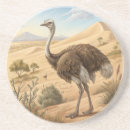Recherche de autruche dessous de verres Oiseau