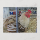 Recherche de fixation cartes postales Animal