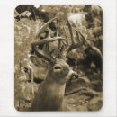 Recherche de whitetail électronique Faune