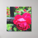 Recherche de goutes art Rose