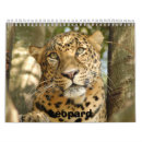 Recherche de leopard calendriers Chat