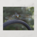 Recherche de mouche de dragon posters Voler