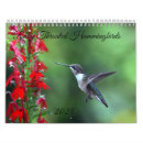 Recherche de colibris calendriers 2025