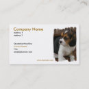 Recherche de chiot de beagle cartes visite Animal familier