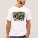 Recherche de bois de construction loups Animal
