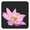Recherche de plantes aquatiques autocollants Nature