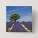 Recherche de rangement badges Agriculture