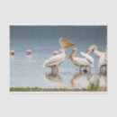 Recherche de causes photographie Nature