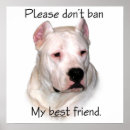 Recherche de bsl posters Spécifique