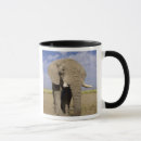 Recherche de réserve nationale tasses Mammifère