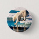 Recherche de ours blanc badges Environnement