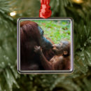 Recherche de orang outan ornements Jungle