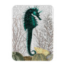 Recherche de oursin magnets Hippocampe