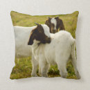 Recherche de amant de chèvre coussins Ferme