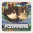 Recherche de chat gris et blanc autocollants Chaton