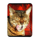 Recherche de chat heureux magnets Maison